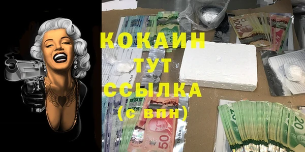 дмт Магадан