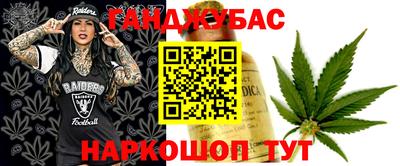бошки Гагарин
