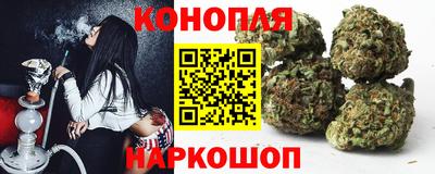 прущие крисы Гай