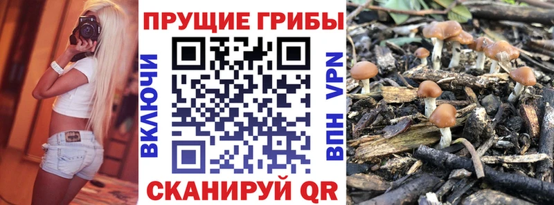 Галлюциногенные грибы ЛСД сайты даркнета какой сайт Ессентуки