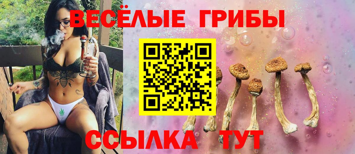 Псилоцибиновые грибы прущие грибы  Вход с VPN  Ессентуки 