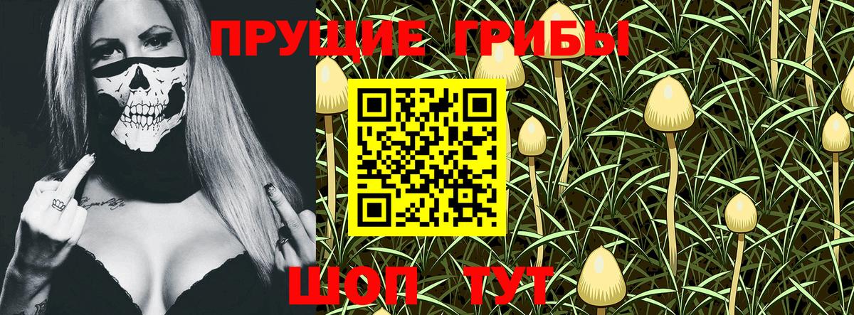 Псилоцибиновые грибы GOLDEN TEACHER Ессентуки