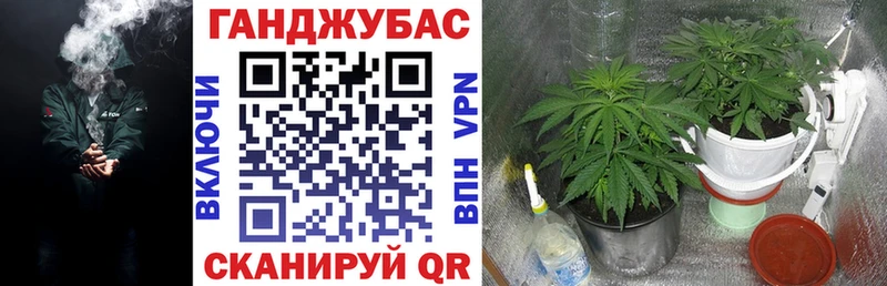 где продают Ессентуки Канабис SATIVA & INDICA