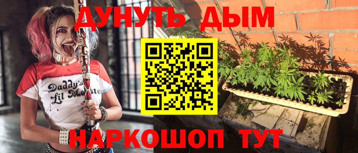 Каннабис планчик  Конопля план  Ессентуки  Вход с VPN 